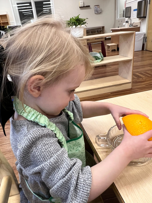 Understanding the Montessori Philosophy: A Path to Connection and Growth for Your Child